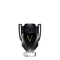 Rabanne Invictus Victory - Eau de Parfum