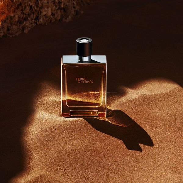 Hermès-Terre d'Hermès - Eau de Toilette