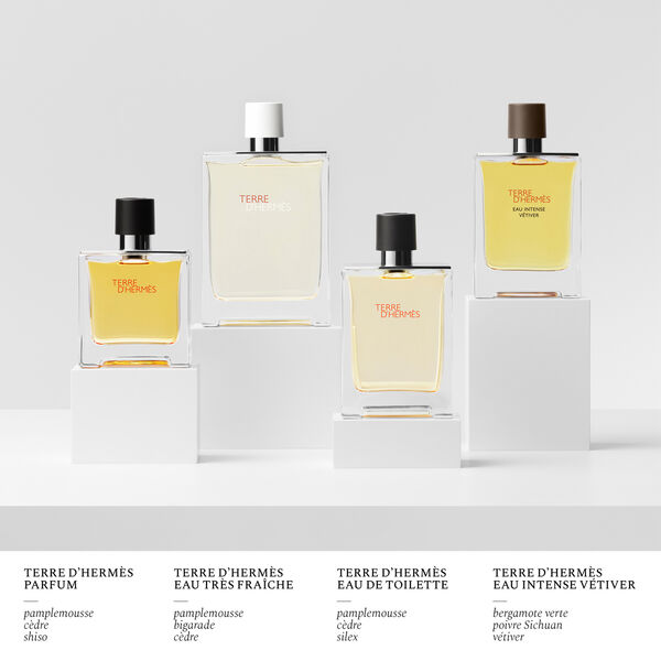 Hermès-Terre d'Hermès - Eau de Toilette