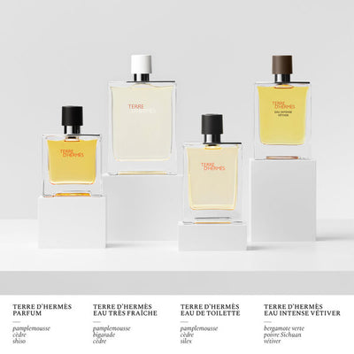 Hermès-Terre d'Hermès - Eau de Toilette