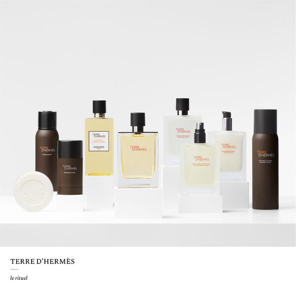 Hermès-Terre d'Hermès - Eau de Toilette