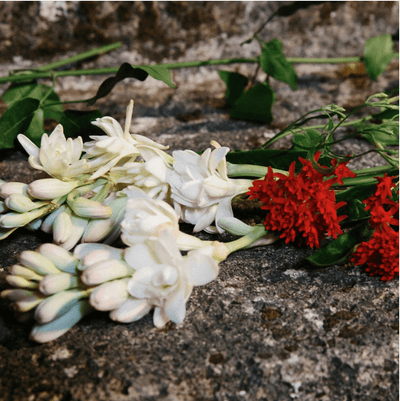 Gucci - Bloom - Eau de Parfum